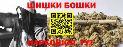 гидра Шахты