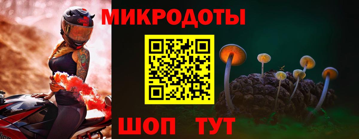 Миллерово  Псилоцибиновые грибы Psilocybe  Псилоцибиновые грибы Psilocybe  Вход с VPN 